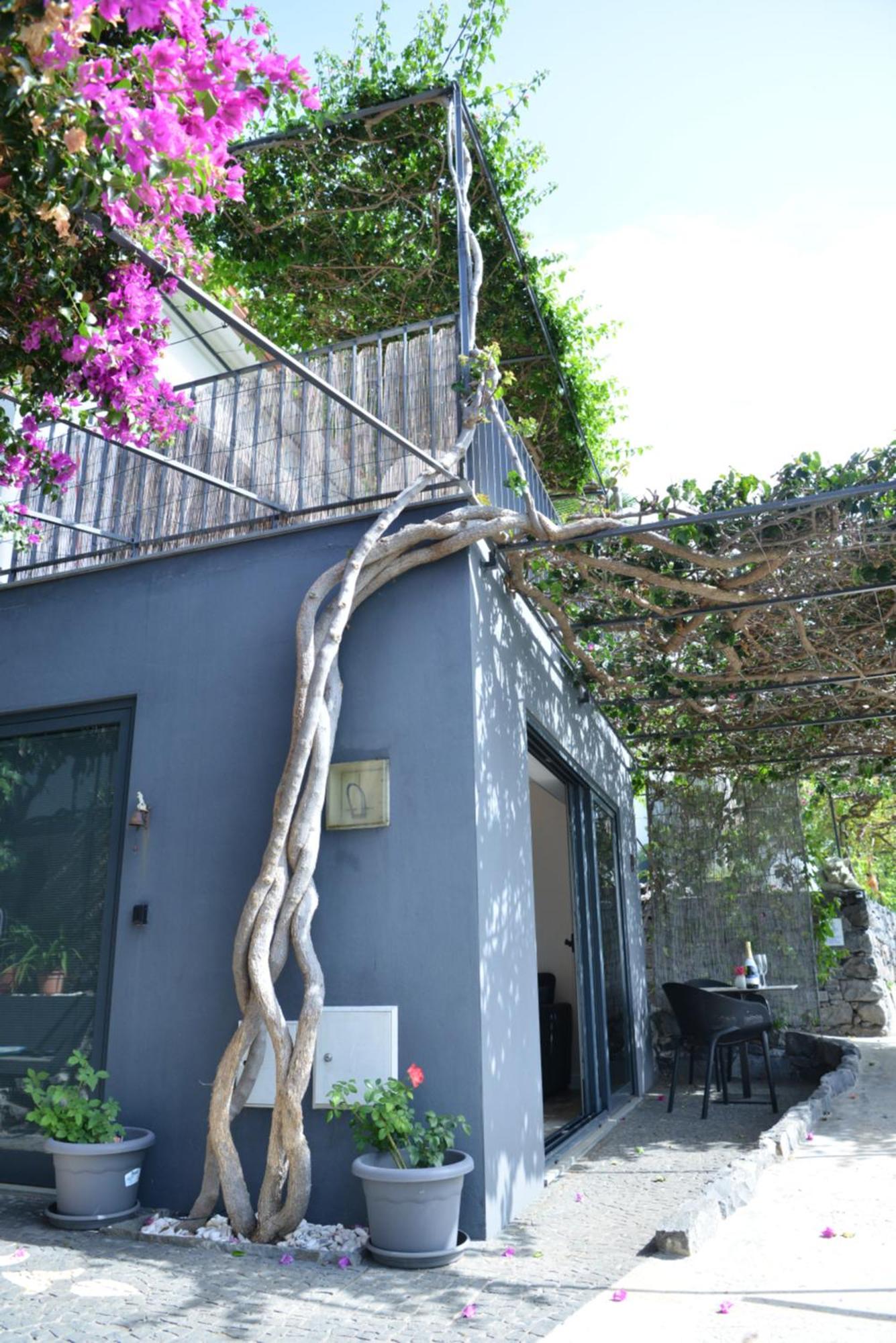昆塔戈尔芬霍酒店 阿科达卡列塔 外观 照片